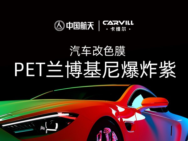 PET兰博基尼爆炸紫